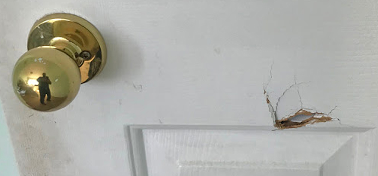 interior door hole repair Southwest Edmonton
