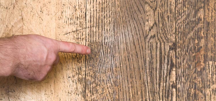 Wood Door Scratch Repair in Southwest Edmonton